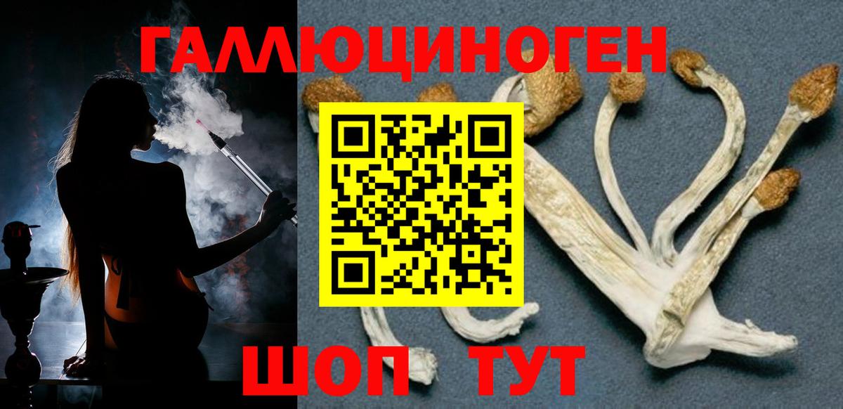 Галлюциногенные грибы Cubensis Нижнекамск